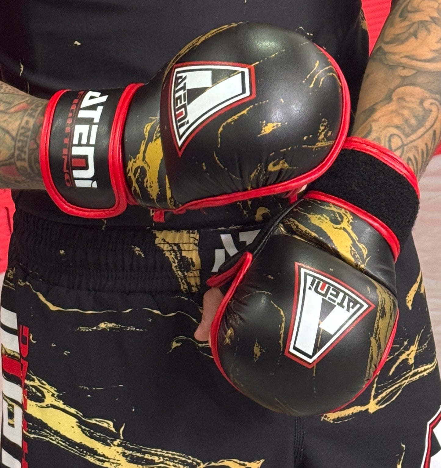 FightGear