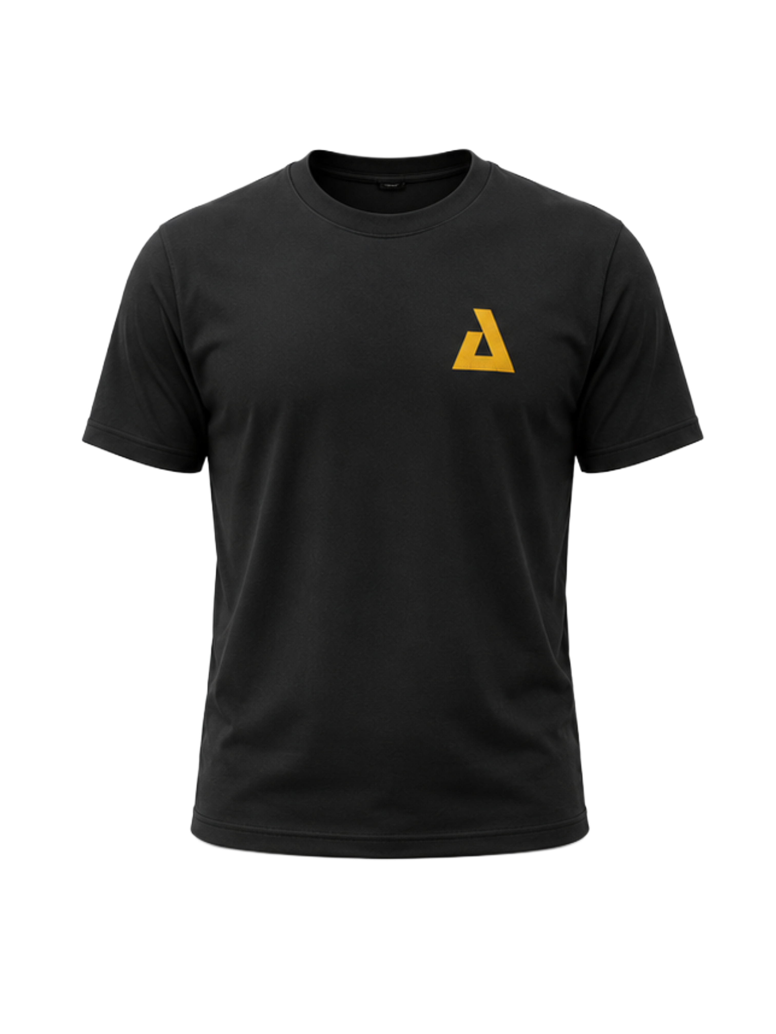 ATEMI PRO GOLDEN – T-Shirt Oversize